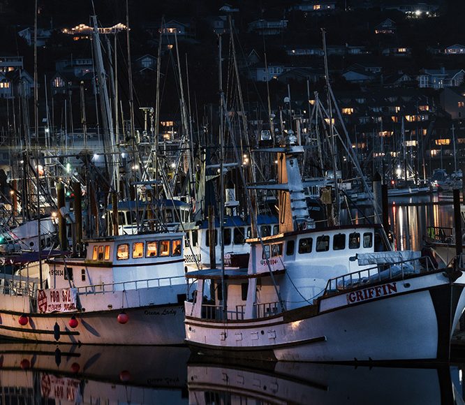 Boats docked in Newport, Oregon