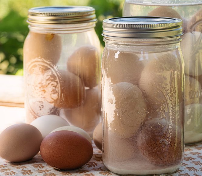 Two glass jars full of water-glassed eggs on a table